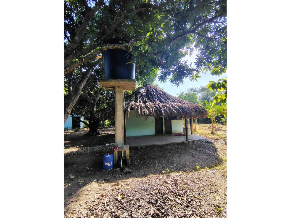 LOTE CAMPESTRE EN VENTA EN MONTERIA — foto 3