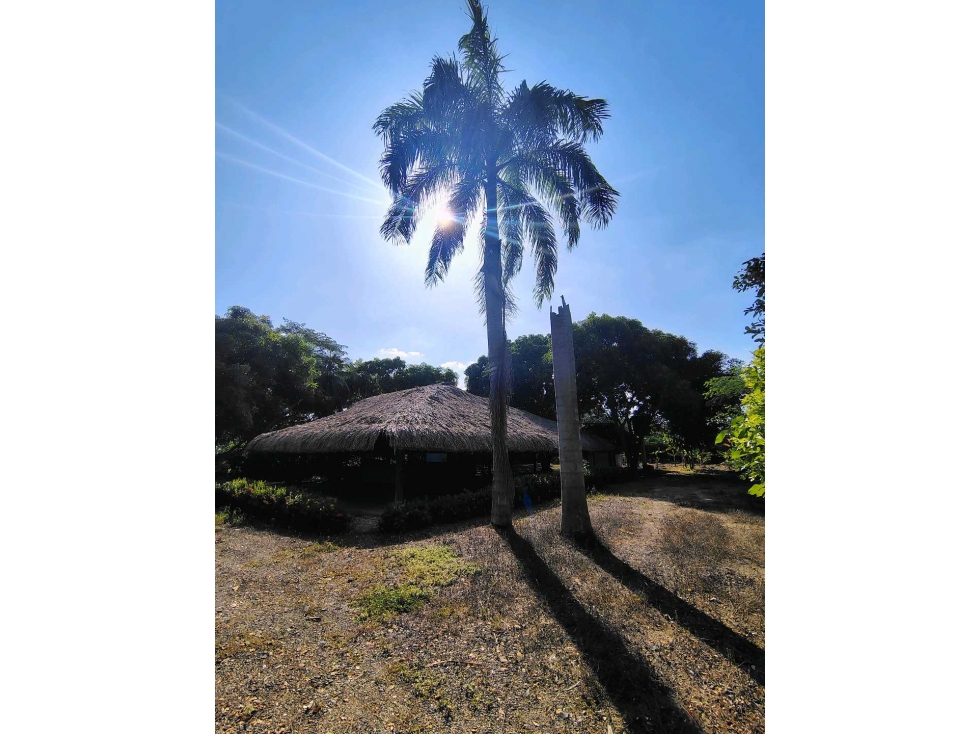 LOTE CAMPESTRE EN VENTA EN MONTERIA — foto 4