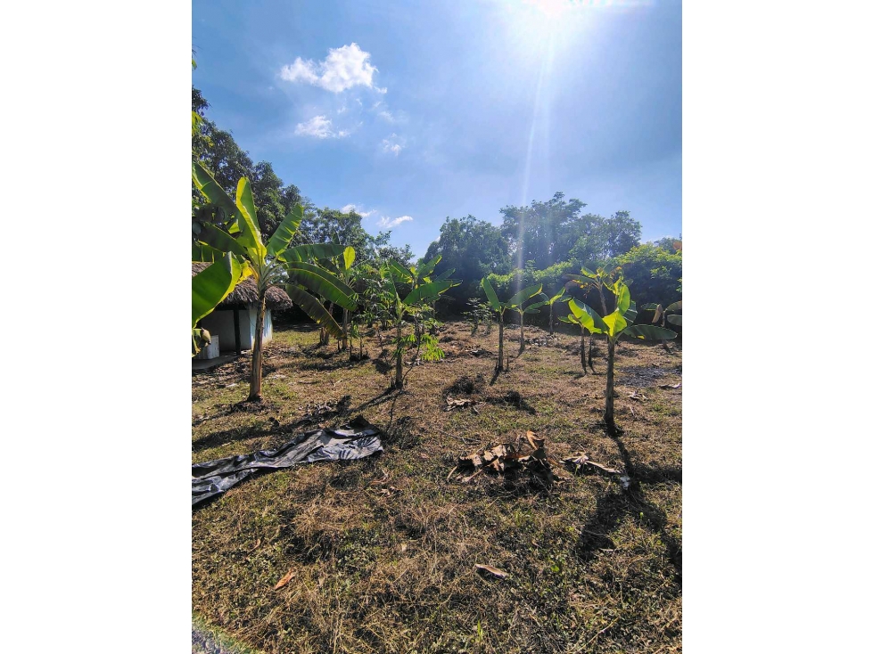 LOTE CAMPESTRE EN VENTA EN MONTERIA — foto 5