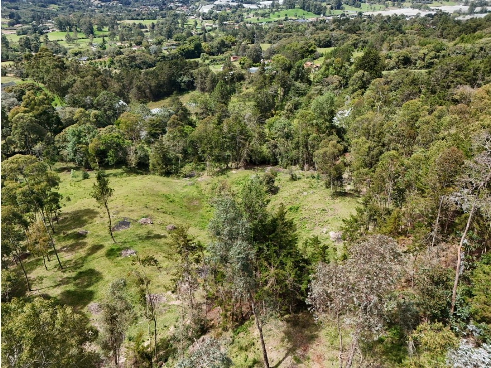 LOTE CAMPESTRE EN VENTA LA CEJA SECTOR PANTANILLO