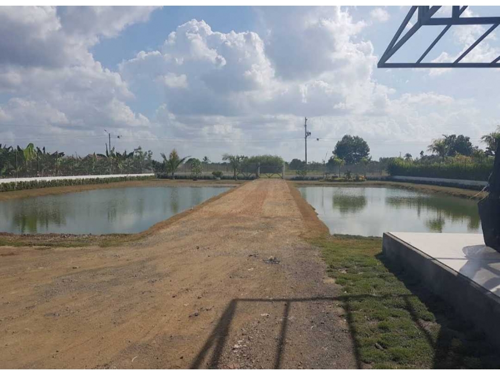 Lote Campestre en venta - Monteria zona norte - 5