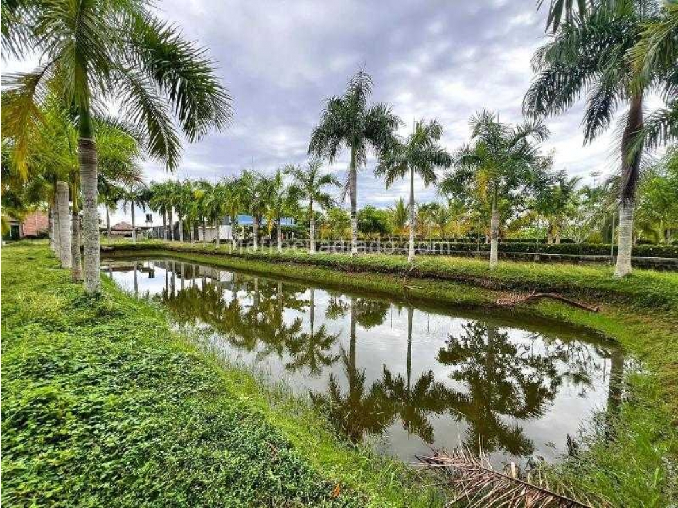 Lote Campestre en venta - Monteria zona norte - 6