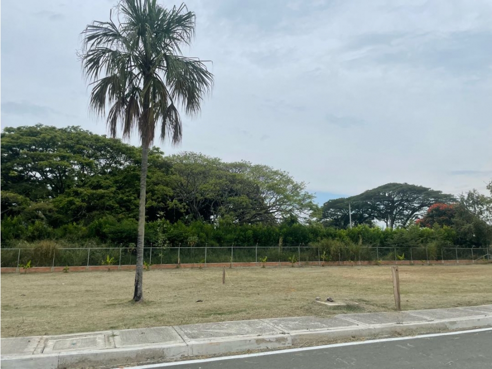 Lote campestre en venta parcelación Rozo AMS.6749338 - 5