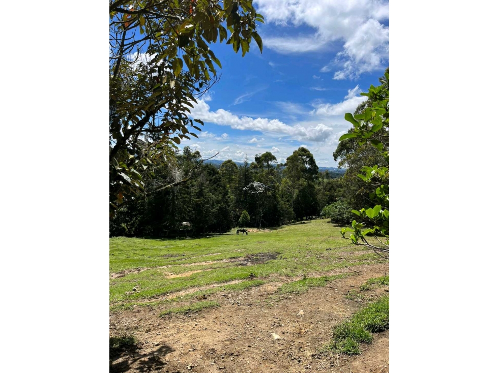 Lote Campestre en Venta, Sajonia - Rionegro