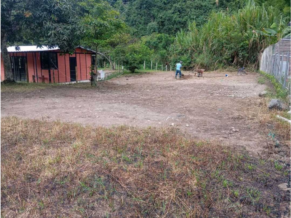 LOTE CAMPESTRE EN VENTA SECTOR BAJO BERLÍN | MANIZALES