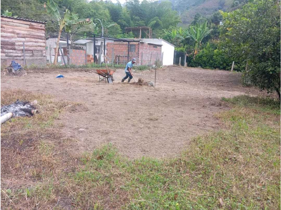 LOTE CAMPESTRE EN VENTA SECTOR BAJO BERLÍN | MANIZALES — foto 4