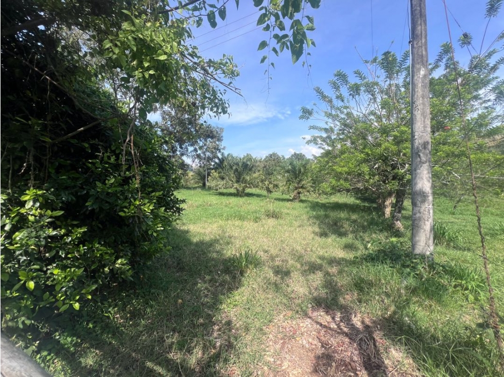 Lote Campestre Las Margaritas Cambia Caldas - 2