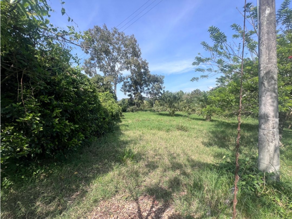 Lote Campestre Las Margaritas Cambia Caldas - 3