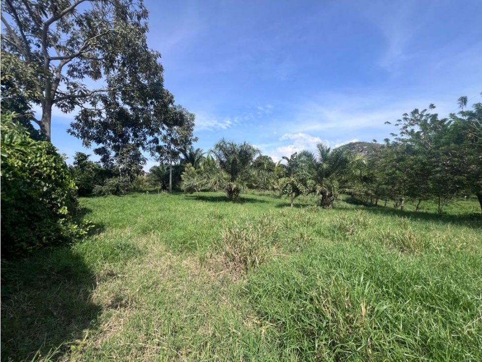 Lote Campestre Las Margaritas Cambia Caldas - 4