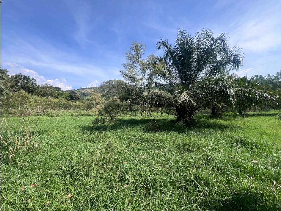 Lote Campestre Las Margaritas Cambia Caldas - 5