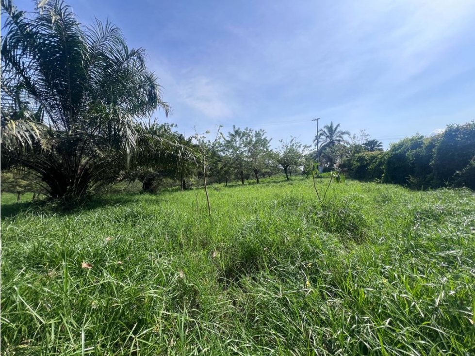 Lote Campestre Las Margaritas Cambia Caldas - 6