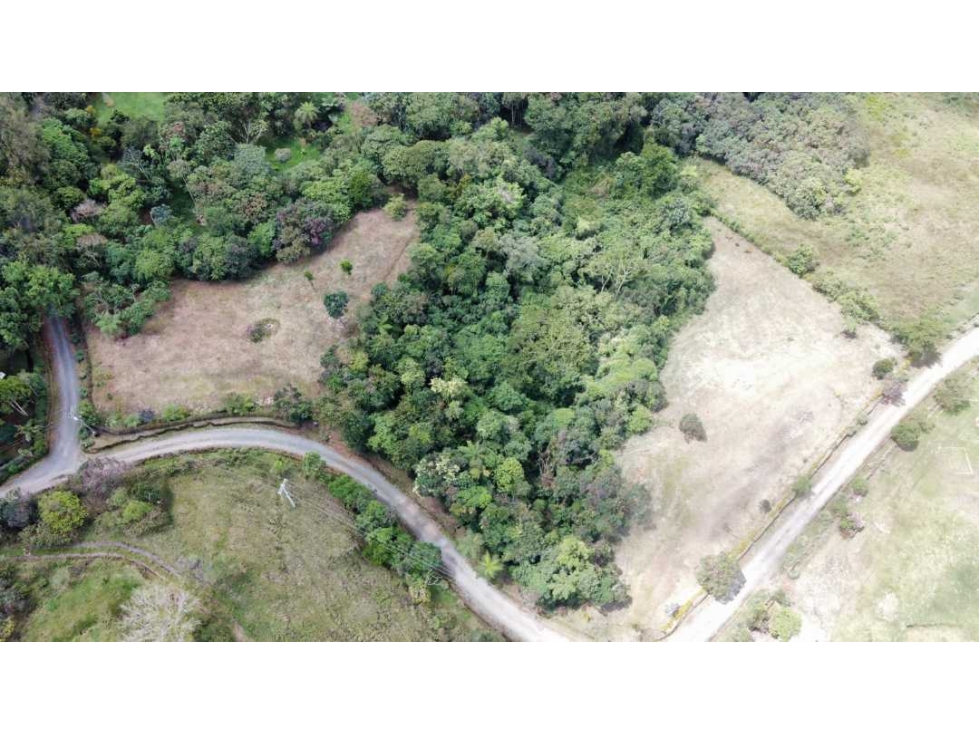 Lote campestre para la venta en filandia con hermosa vista y bosque - 1