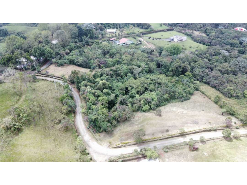 Lote campestre para la venta en filandia con hermosa vista y bosque - 2