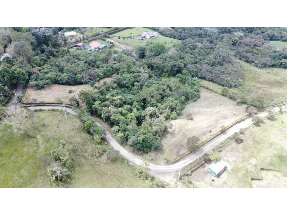Lote campestre para la venta en filandia con hermosa vista y bosque - 3