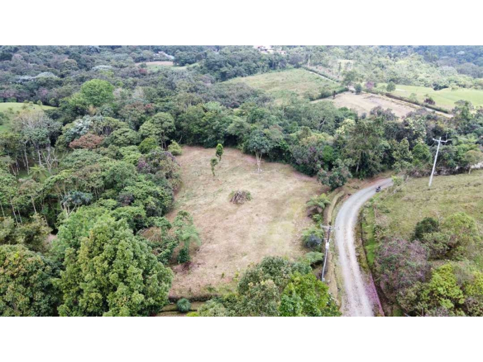 Lote campestre para la venta en filandia con hermosa vista y bosque - 4