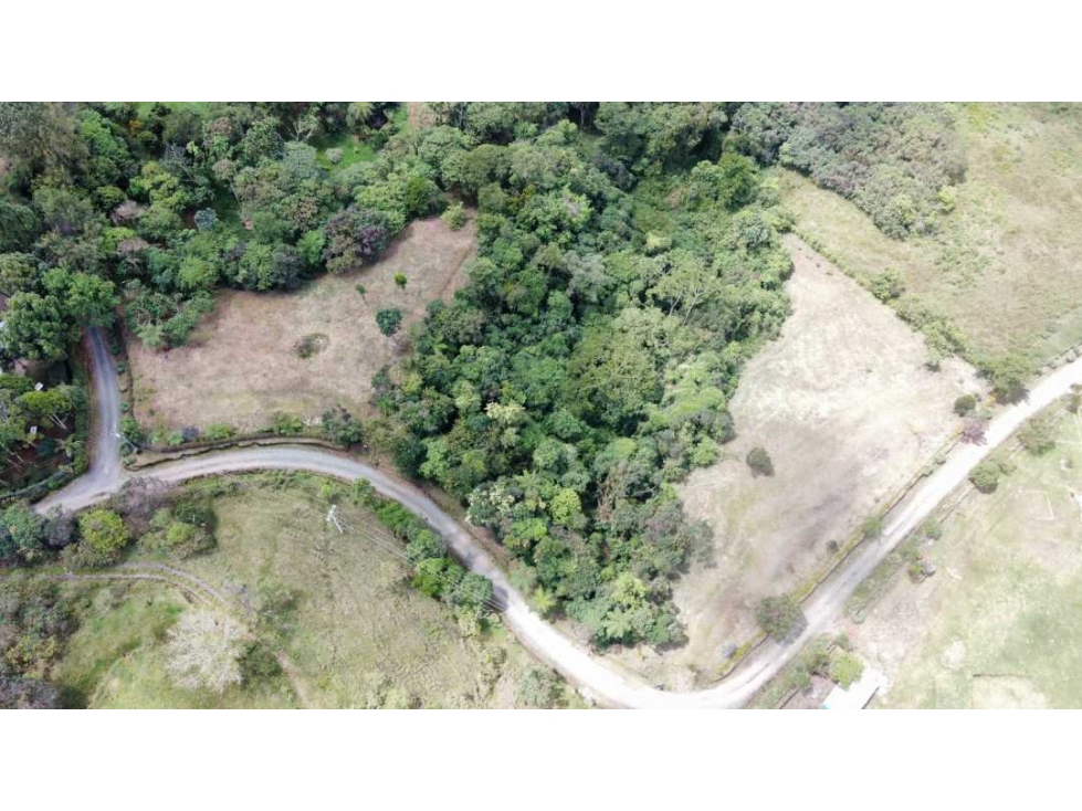 Lote campestre para la venta en filandia con hermosa vista y bosque - 5