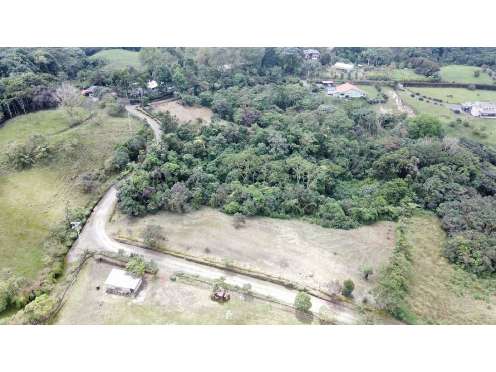 Lote campestre para la venta en filandia con hermosa vista y bosque - 6