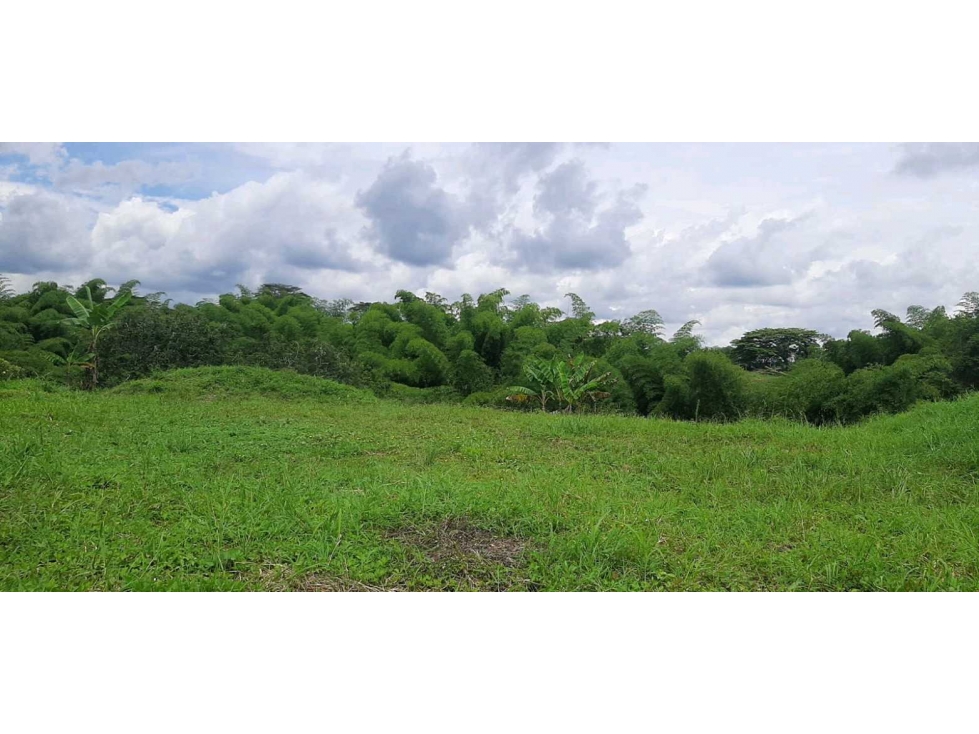Lote Campestre Para la Venta Entre Quimbaya y Alcala - 1