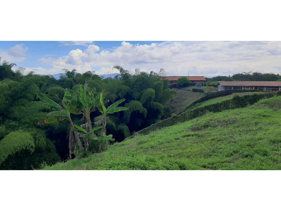 Lote Campestre Para la Venta Entre Quimbaya y Alcala - 3