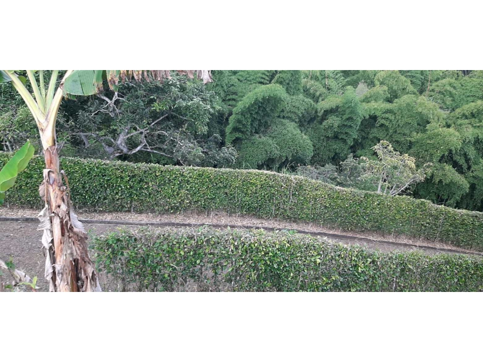 Lote Campestre Para la Venta Entre Quimbaya y Alcala - 6