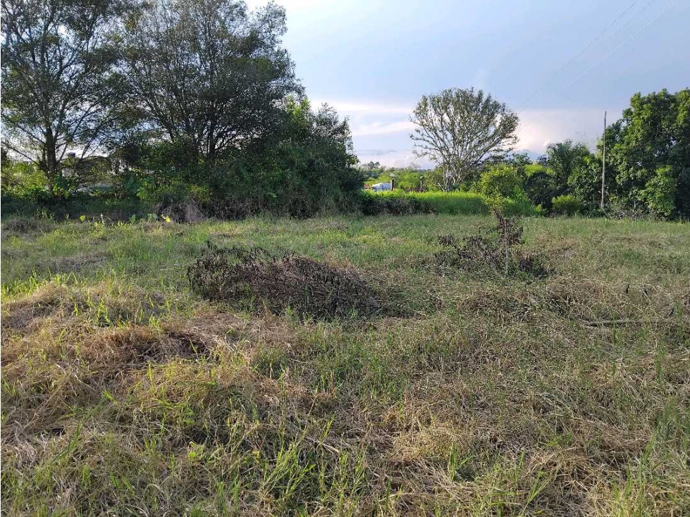 Lote Campestre Para la Venta Sector Murillo — foto 4