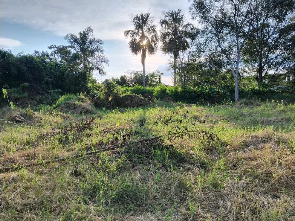 Lote Campestre Para la Venta Sector Murillo — foto 5