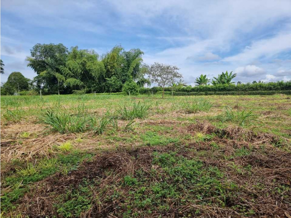 Lote Campestre Para La Venta Vía Caimo Aeropuerto — foto 3