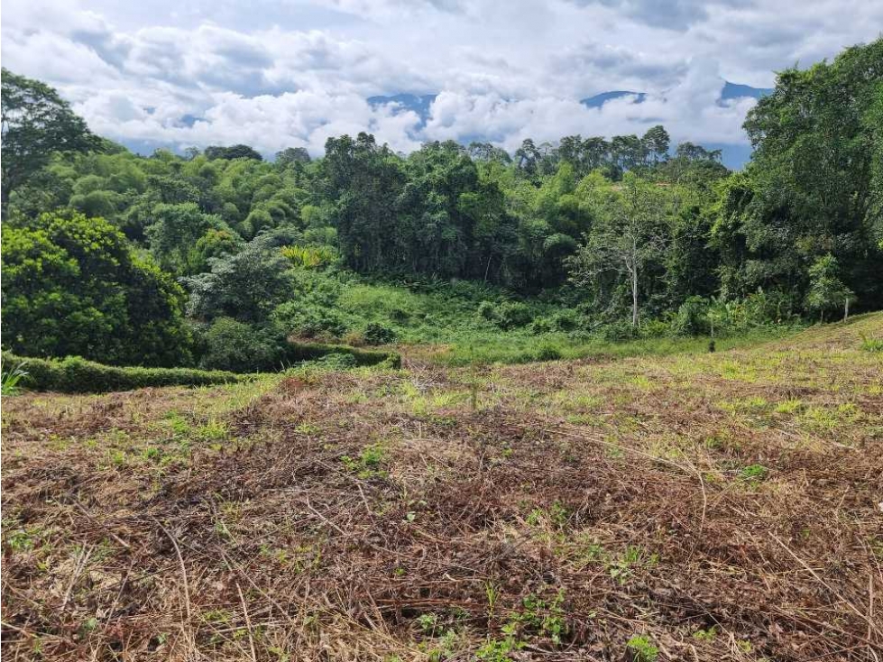 Lote Campestre Para La Venta Vía Caimo Aeropuerto — foto 4
