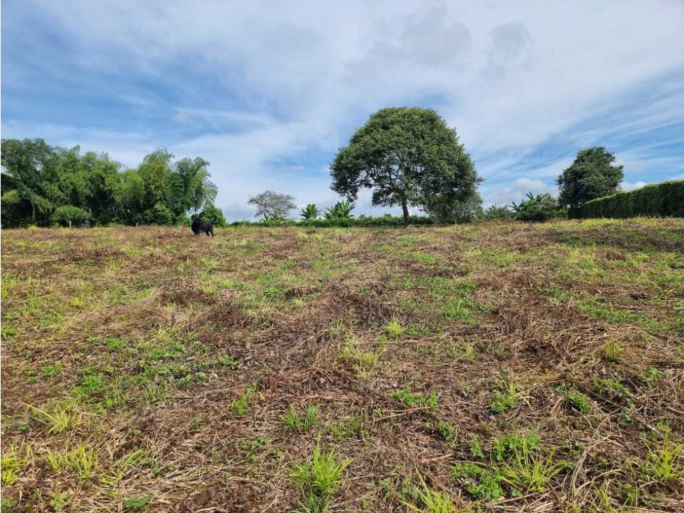 Lote Campestre Para La Venta Vía Caimo Aeropuerto — foto 5