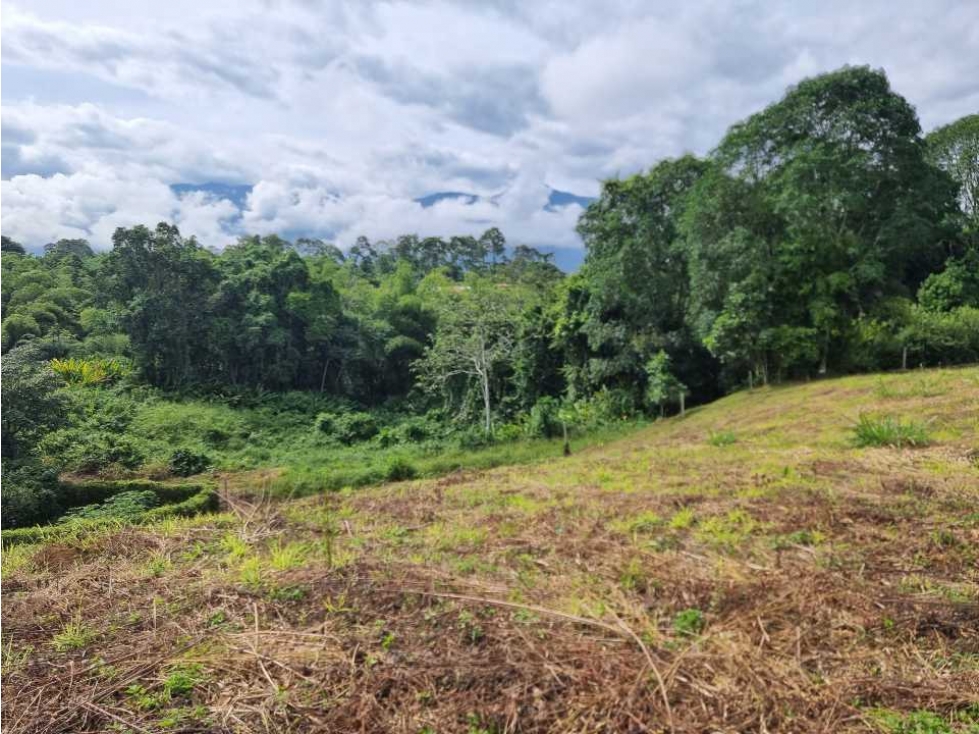 Lote Campestre Para La Venta Vía Caimo Aeropuerto — foto 6