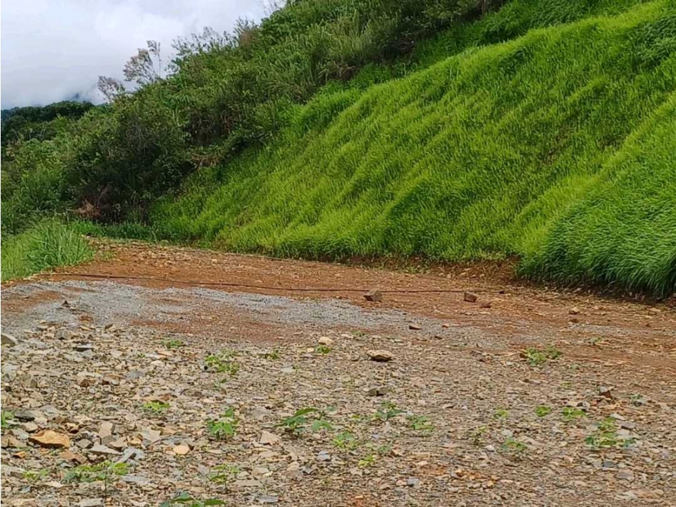 LOTE CAMPESTRE TITIRIBI - 1