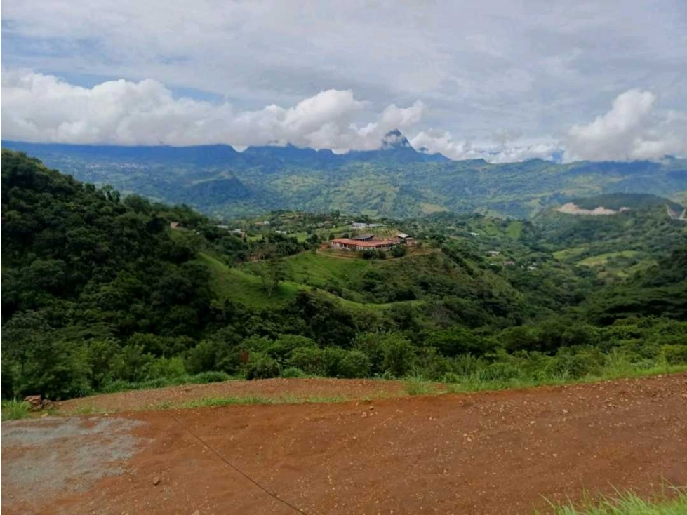 LOTE CAMPESTRE TITIRIBI - 4