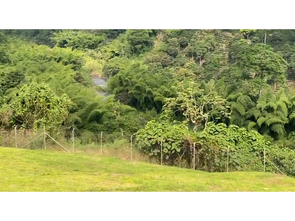LOTE CAMPESTRE UBICADO.EN EL CAIMO — foto 6