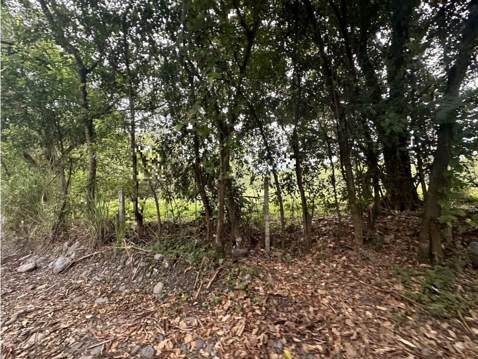LOTE CAMPOALEGRE - 2