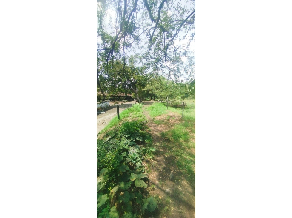 LOTE CAMPOALEGRE - 4