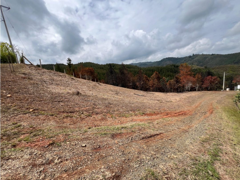 Lote Carmelo venta Parcelación campestre — foto 4