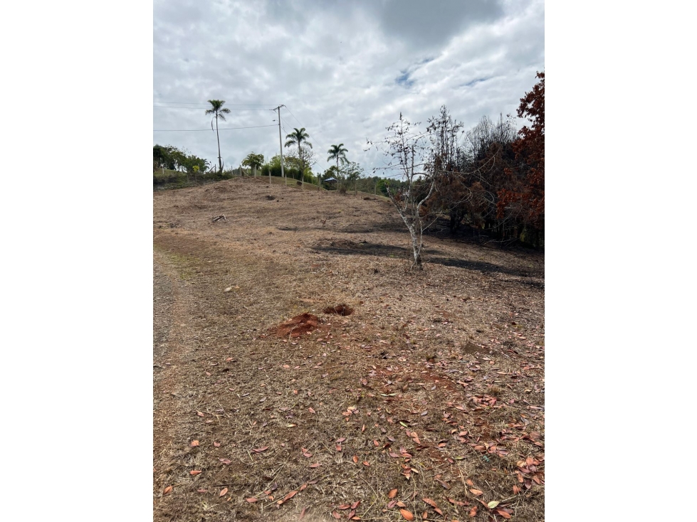 Lote Carmelo venta Parcelación campestre — foto 5