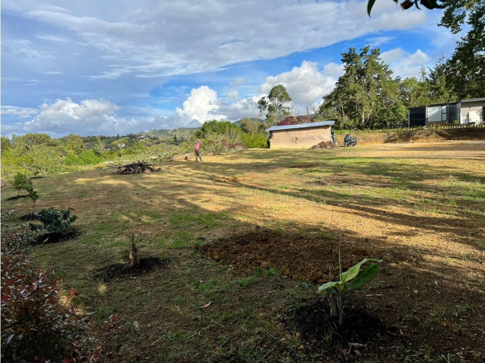 LOTE Carmen de Viboral