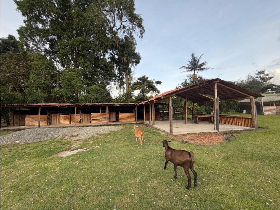 Lote Casa Comercial en el Corazon de Llanogrande — foto 3