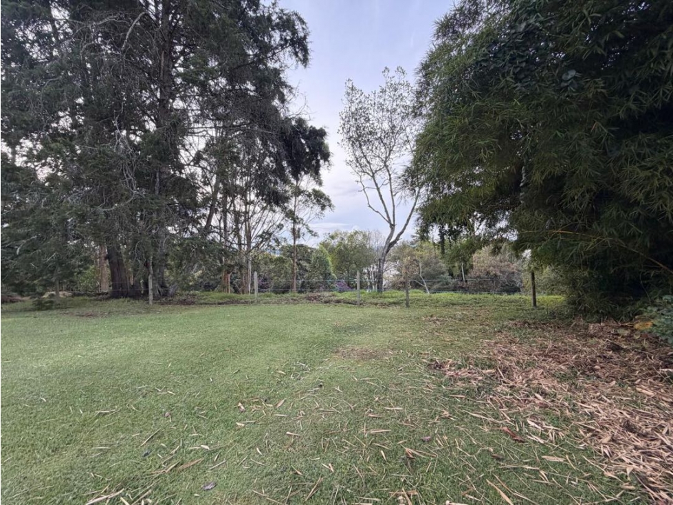 Lote Casa Comercial en el Corazon de Llanogrande — foto 4