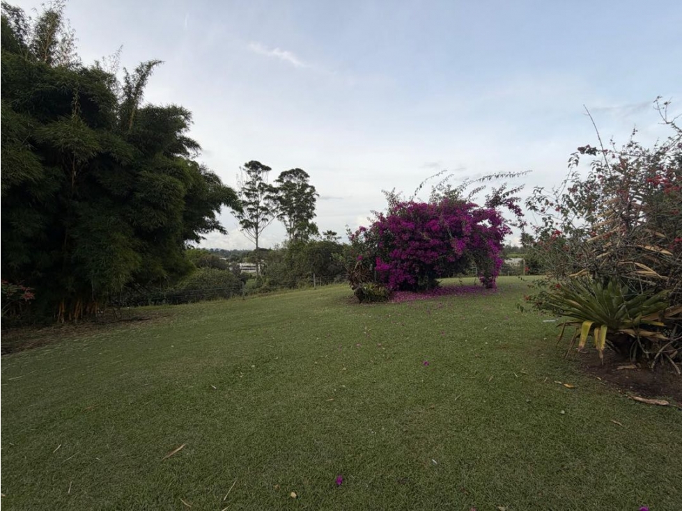 Lote Casa Comercial en el Corazon de Llanogrande — foto 5