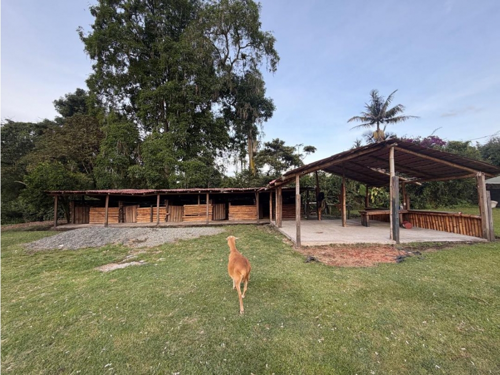 Lote Casa Comercial en el Corazon de Llanogrande
