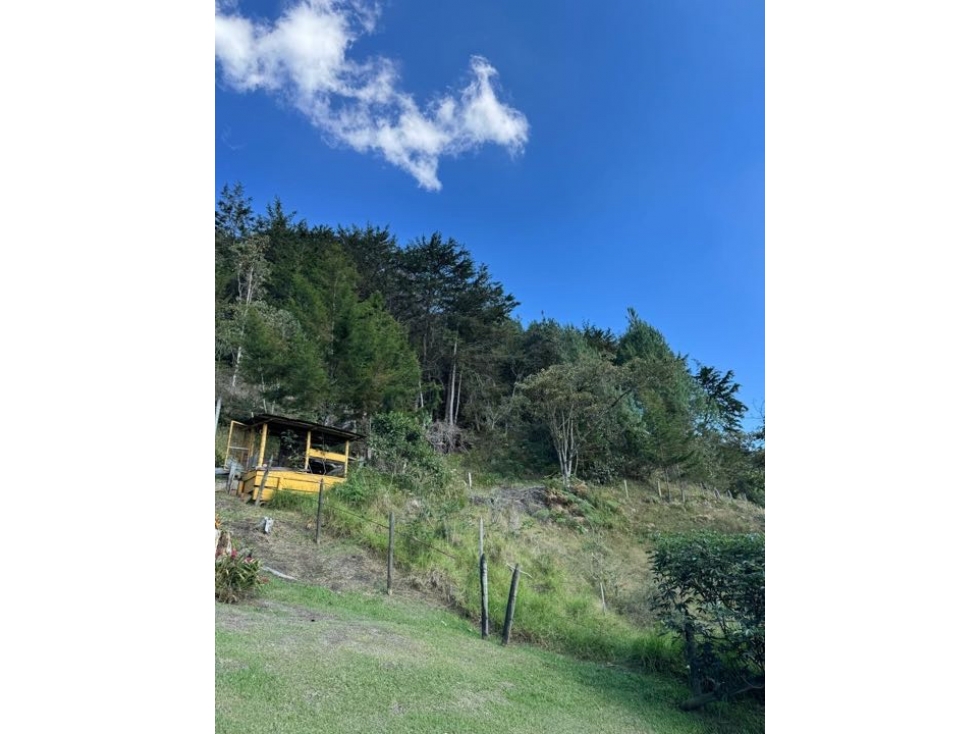 LOTE PARA LA VENTA EN UNA DE LAS MEJORES PARCELACIONES DE LA CEJA — foto 6