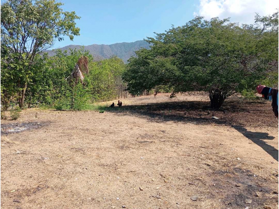 Lote cerca al aeropuerto Santa Marta Colombia — foto 6
