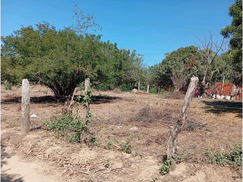 Lote cerca al aeropuerto Santa Marta Colombia — foto 4