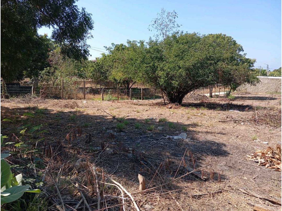 Lote cerca al aeropuerto Santa Marta Colombia — foto 6