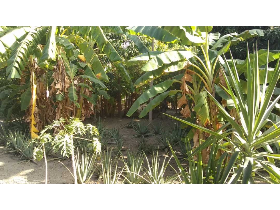 Lote Cerca al Aeropuerto Santa Marta Colombia