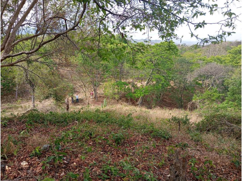 Lote Cerca Al Rio Bonda Santa Marta Colombia — foto 3