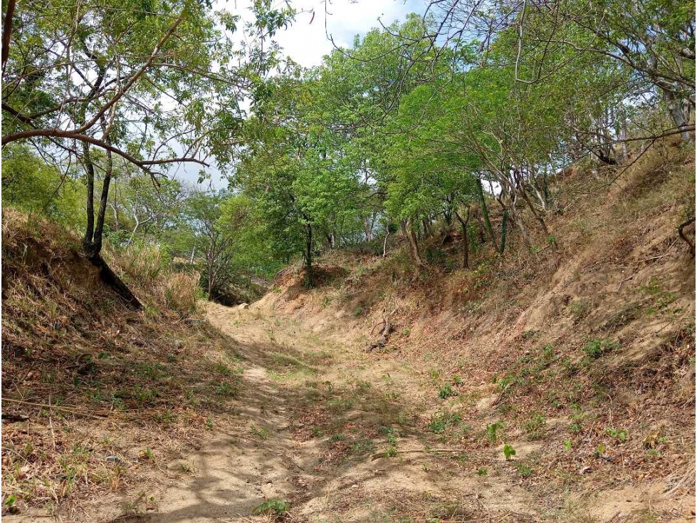 Lote Cerca Al Rio Bonda Santa Marta Colombia — foto 6