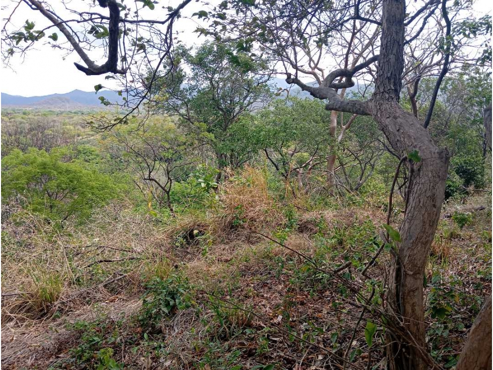 Lote Cerca Al Rio Bonda Santa Marta Colombia — foto 4